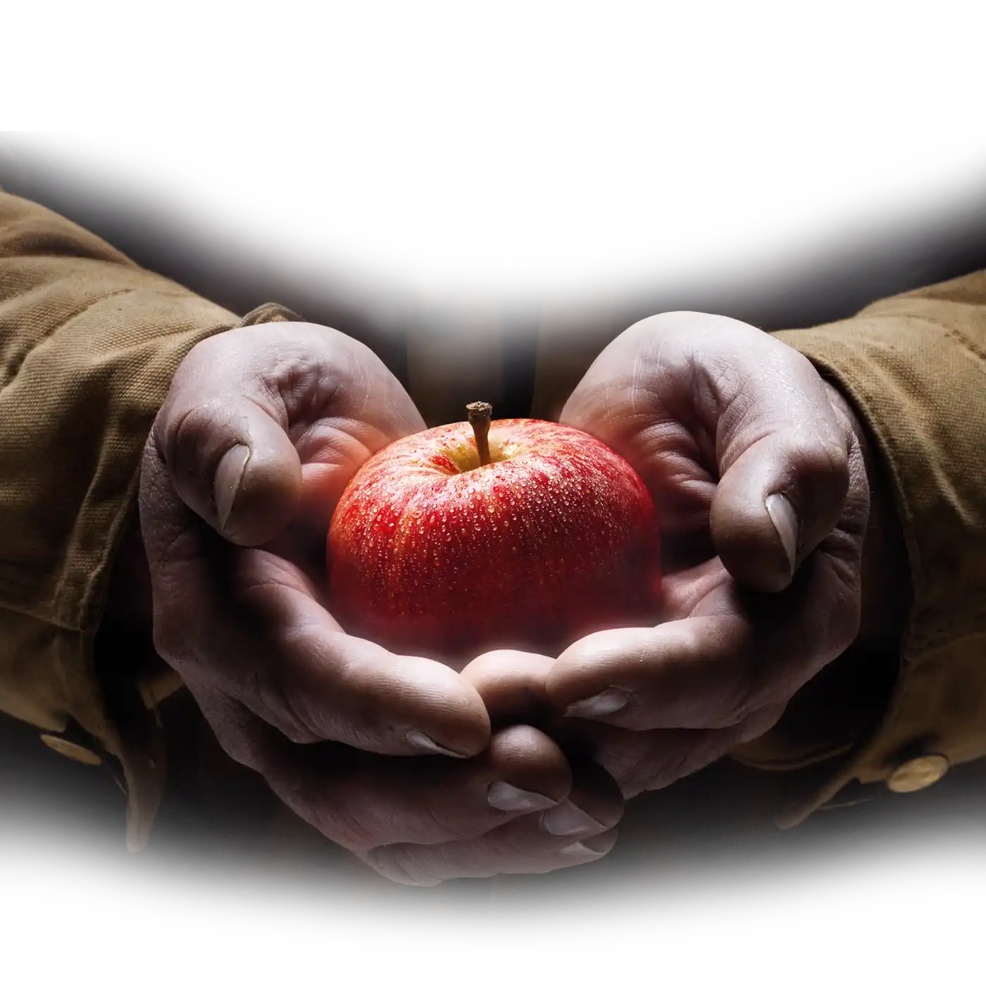 Footer Apple